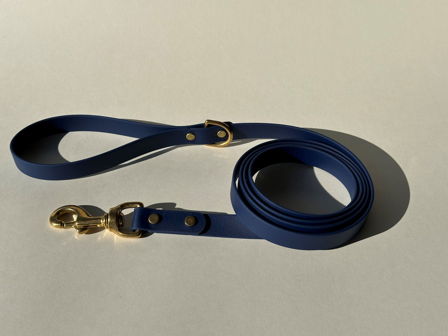 6' Biothane Leash - Solid Brass Hardware