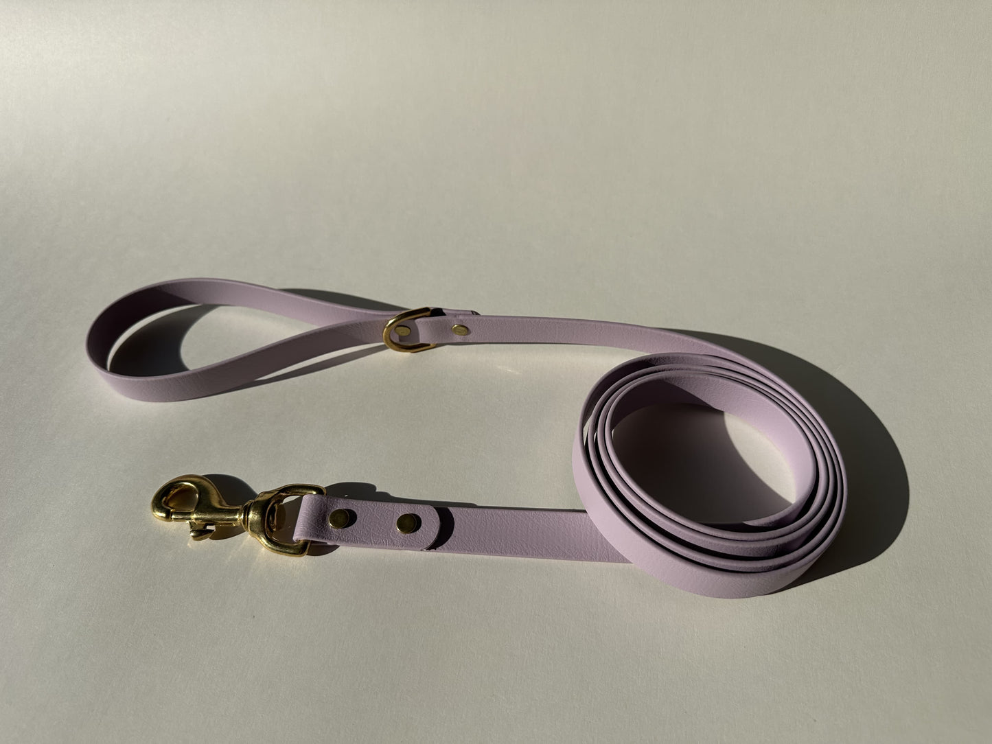 6' Biothane Leash - Solid Brass Hardware