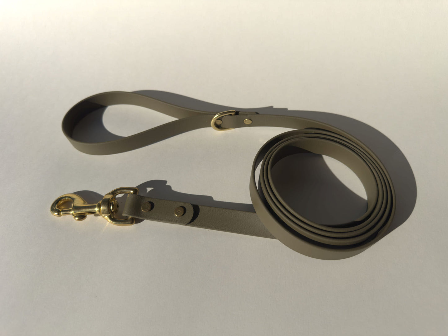6' Biothane Leash - Solid Brass Hardware