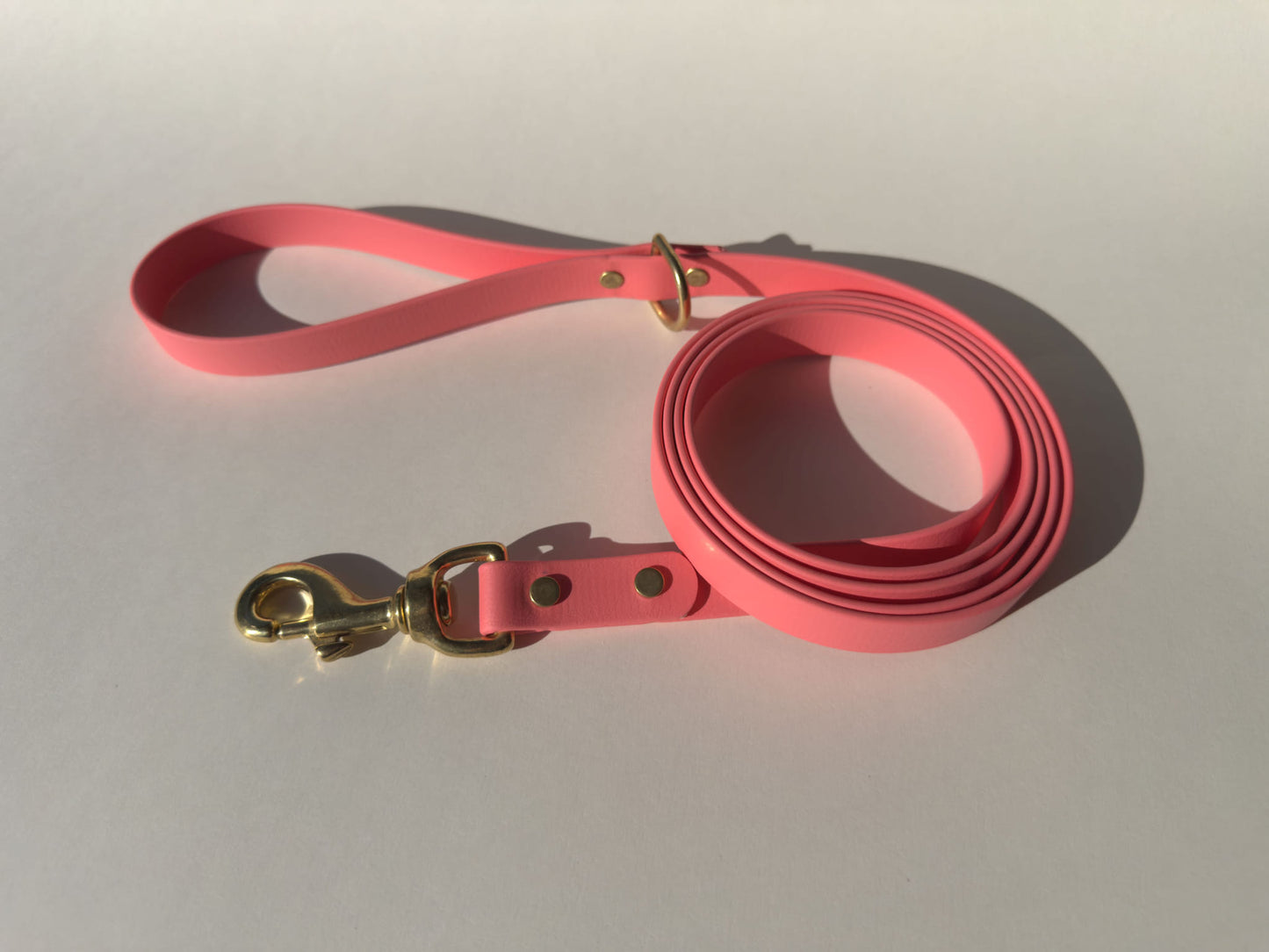 6' Biothane Leash - Solid Brass Hardware
